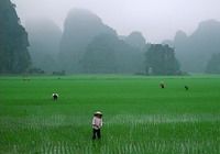 Travelers with Hoa Lu - Tam Coc tour